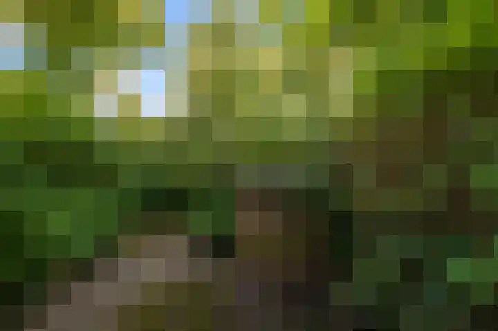 Kometensingel 313 Amsterdam thumbnail 46