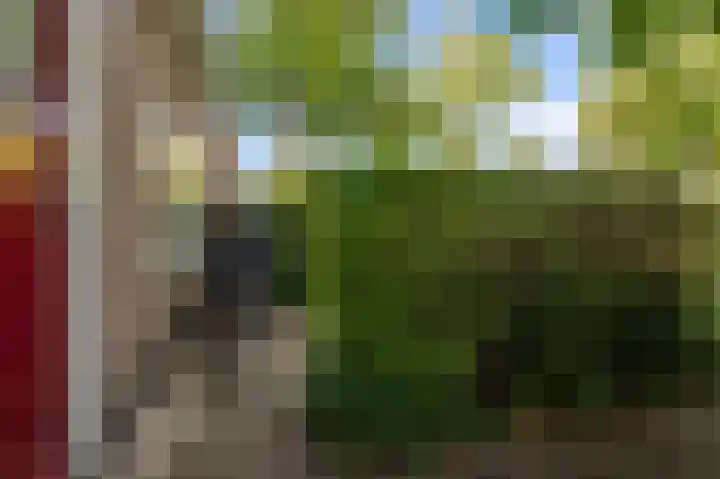 Kometensingel 313 Amsterdam thumbnail 47