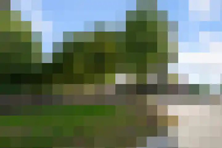 Kometensingel 313 Amsterdam thumbnail 48