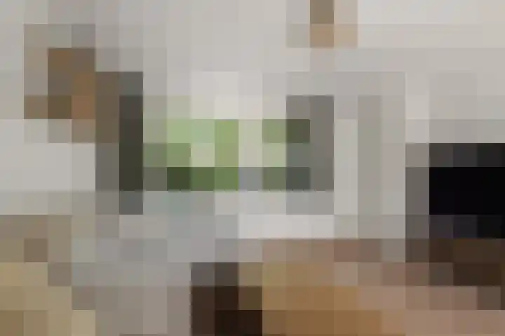 Kometensingel 313 Amsterdam thumbnail 7