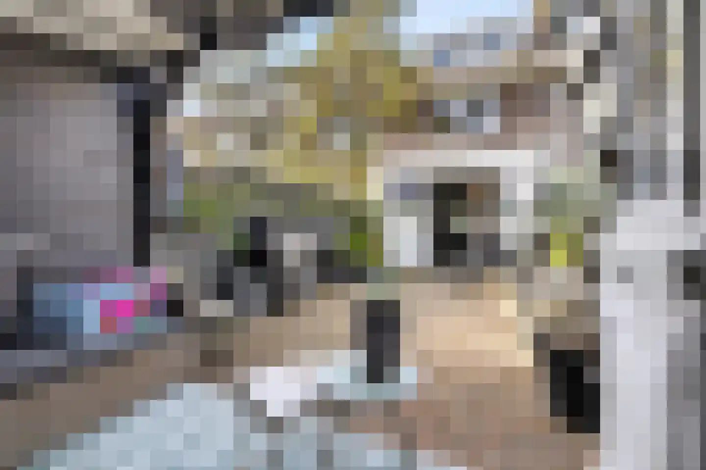 Kometensingel 355 Amsterdam thumbnail 15