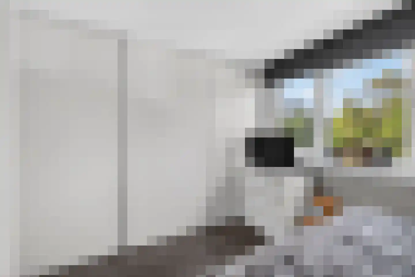 Kometensingel 355 Amsterdam thumbnail 23