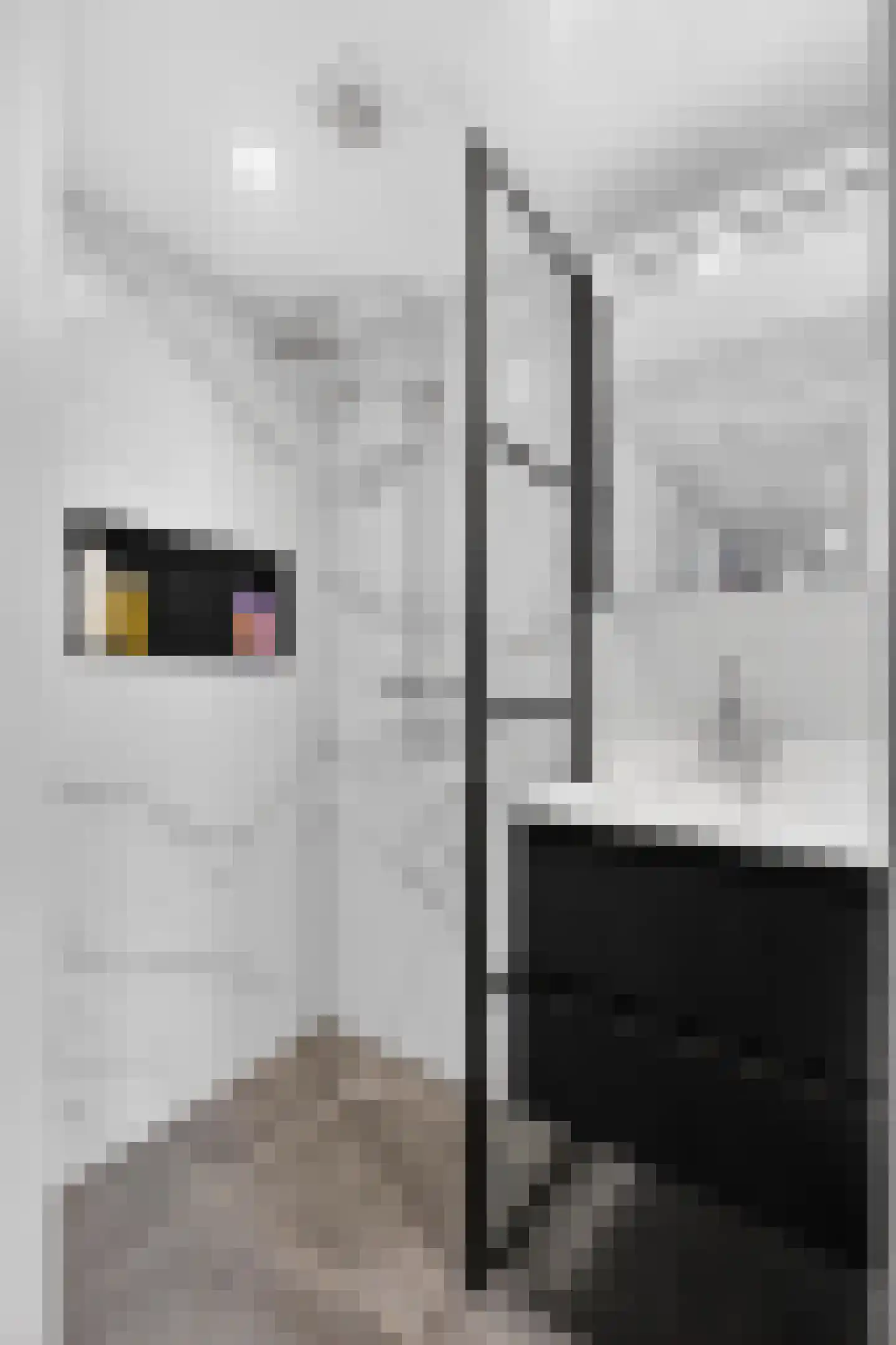 Kometensingel 355 Amsterdam thumbnail 25