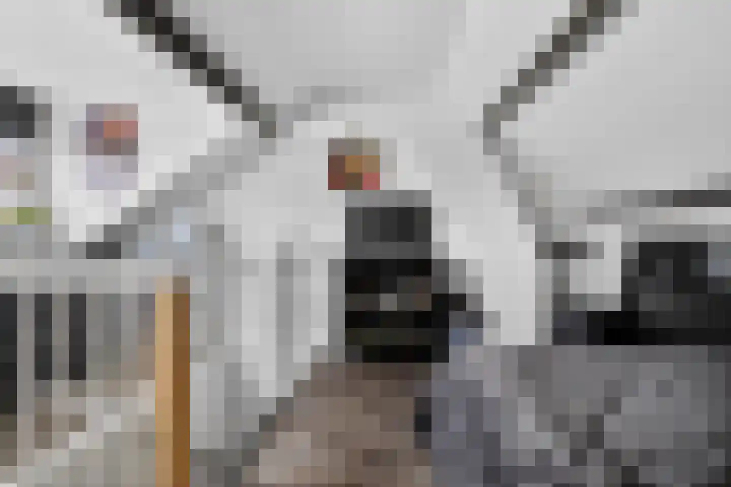 Kometensingel 355 Amsterdam thumbnail 30