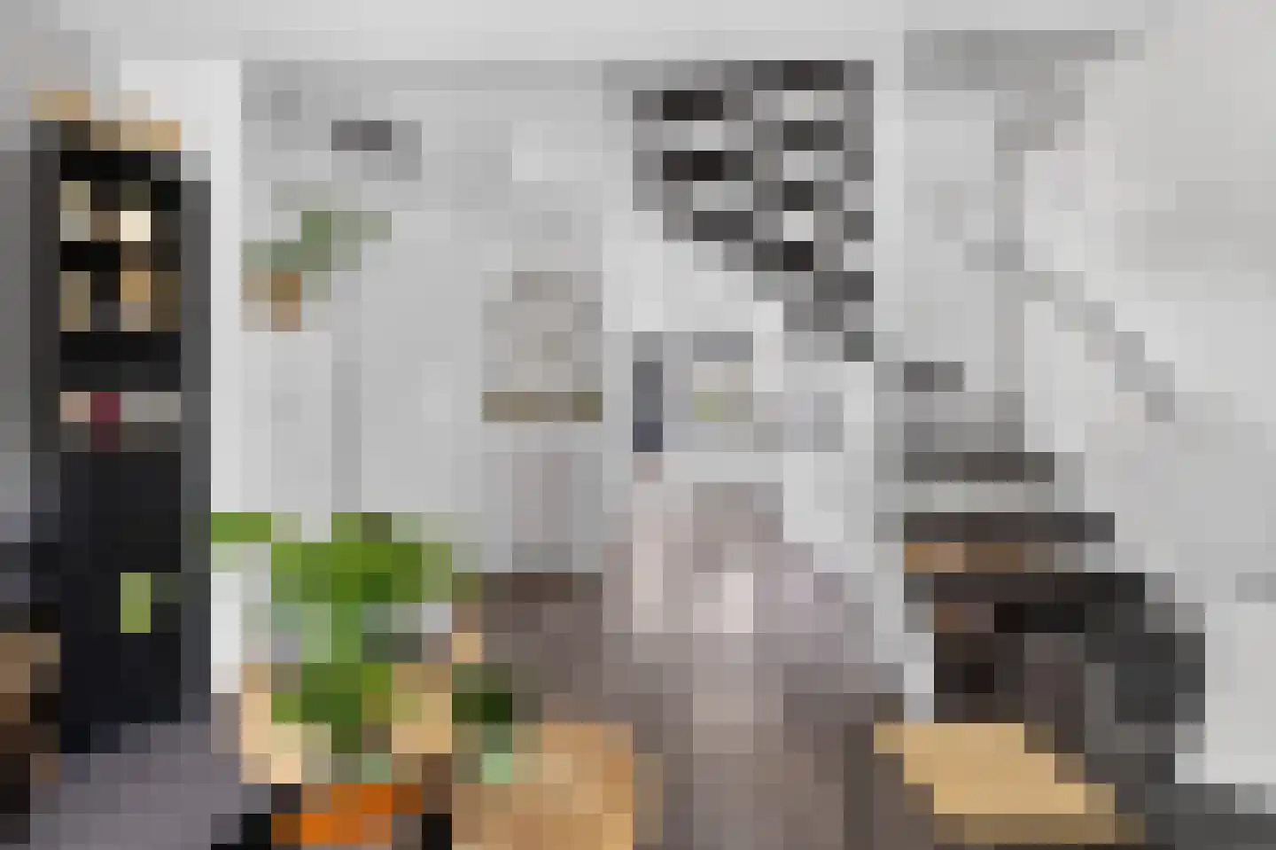 Kometensingel 355 Amsterdam thumbnail 5