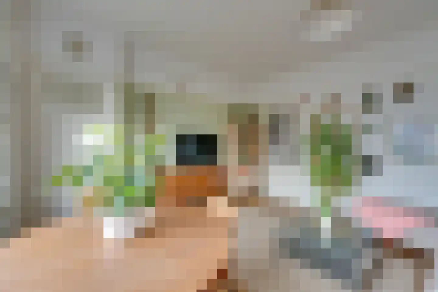 Kometensingel 371 Amsterdam thumbnail 10