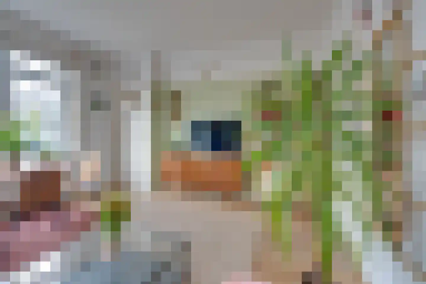 Kometensingel 371 Amsterdam thumbnail 11