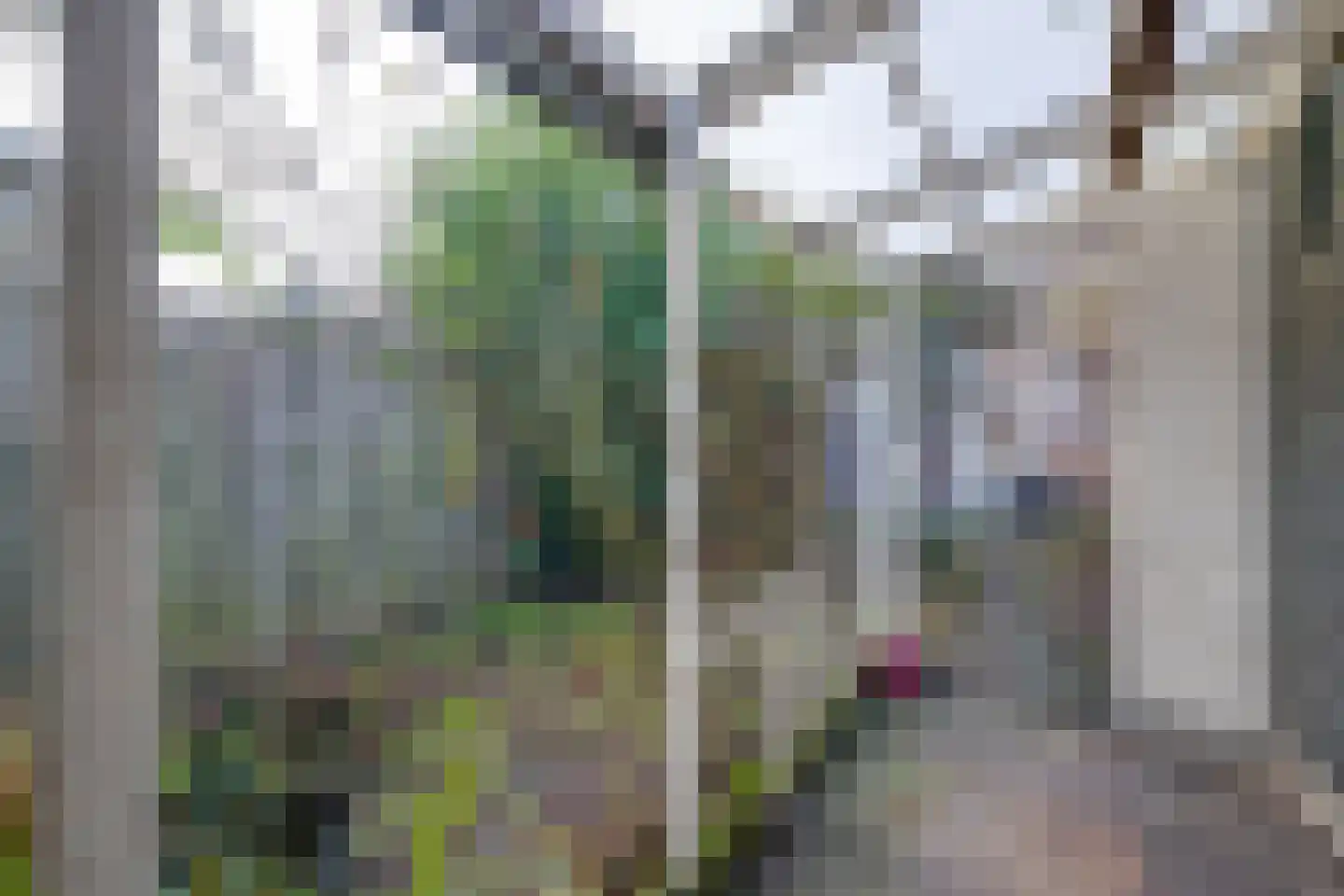 Kometensingel 371 Amsterdam thumbnail 20