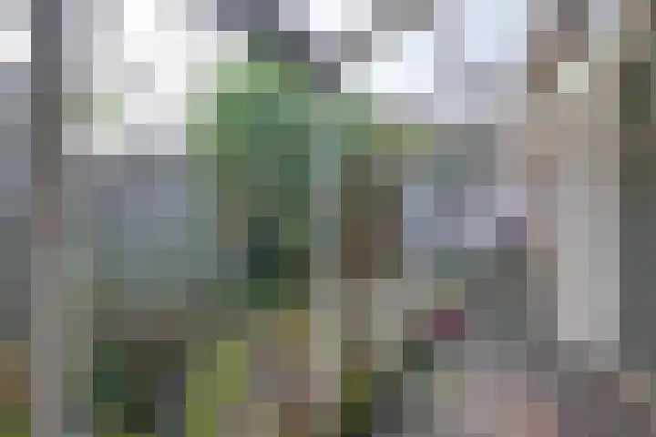 Kometensingel 371 Amsterdam thumbnail 20