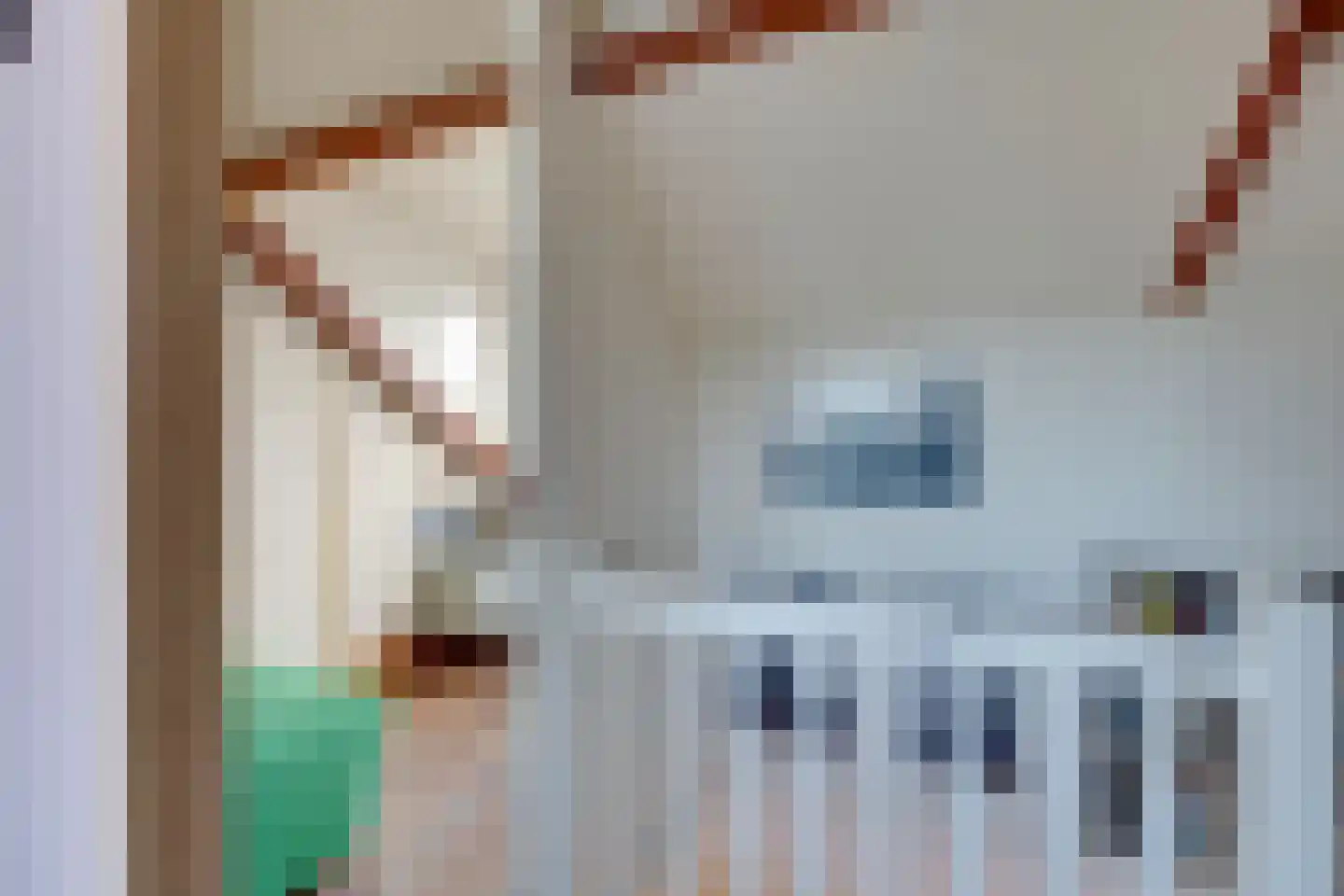 Kometensingel 371 Amsterdam thumbnail 38