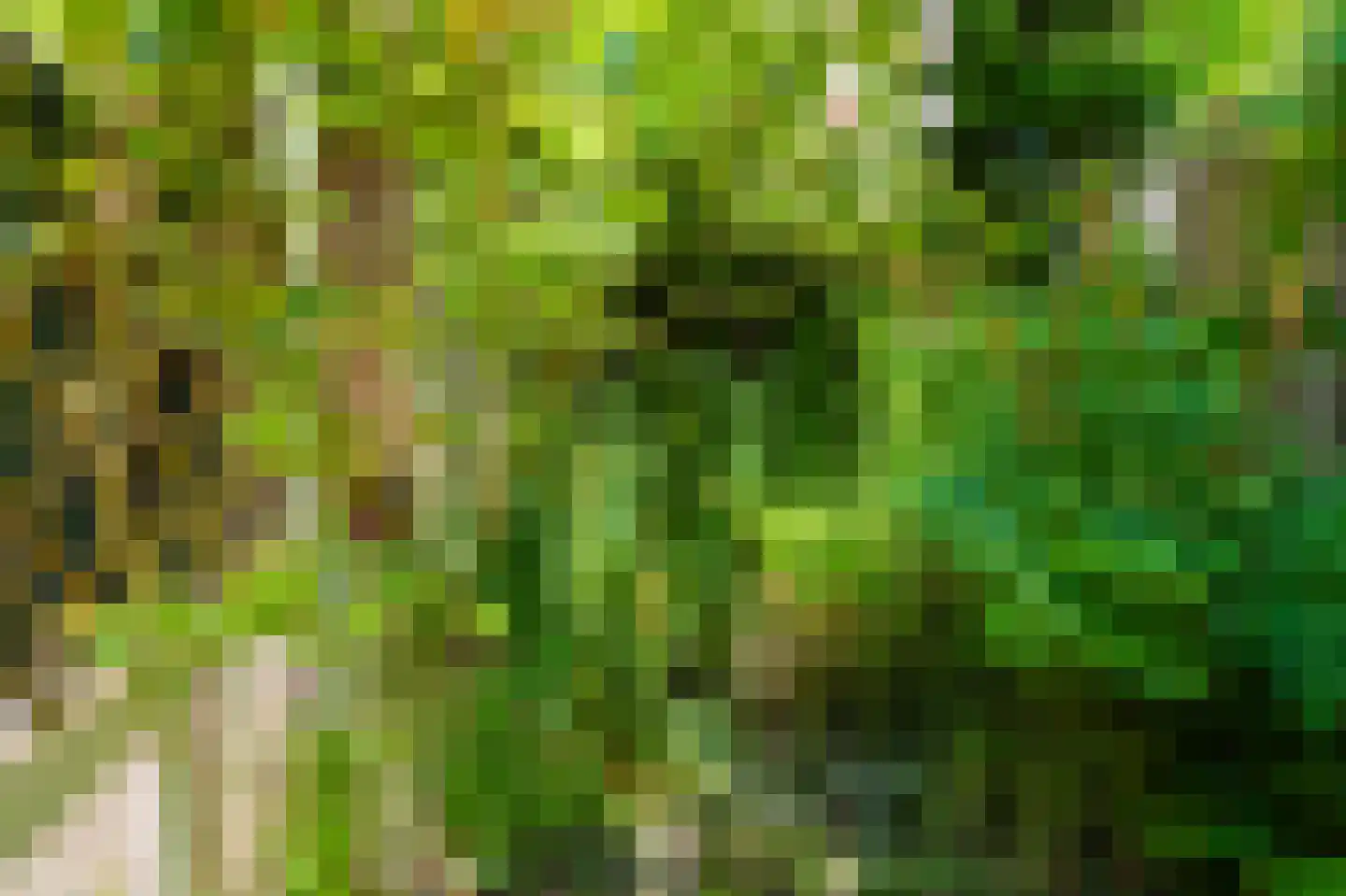 Kometensingel 371 Amsterdam thumbnail 43
