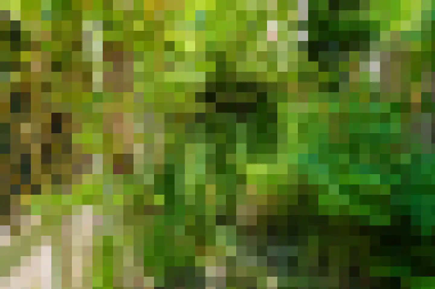 Kometensingel 371 Amsterdam thumbnail 43