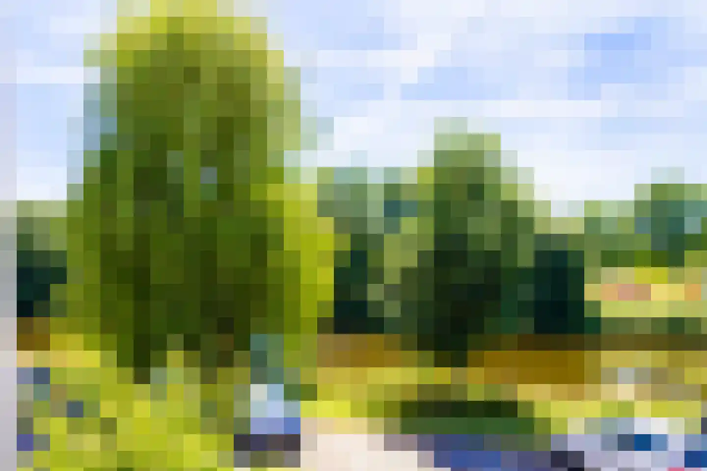 Kometensingel 371 Amsterdam thumbnail 44