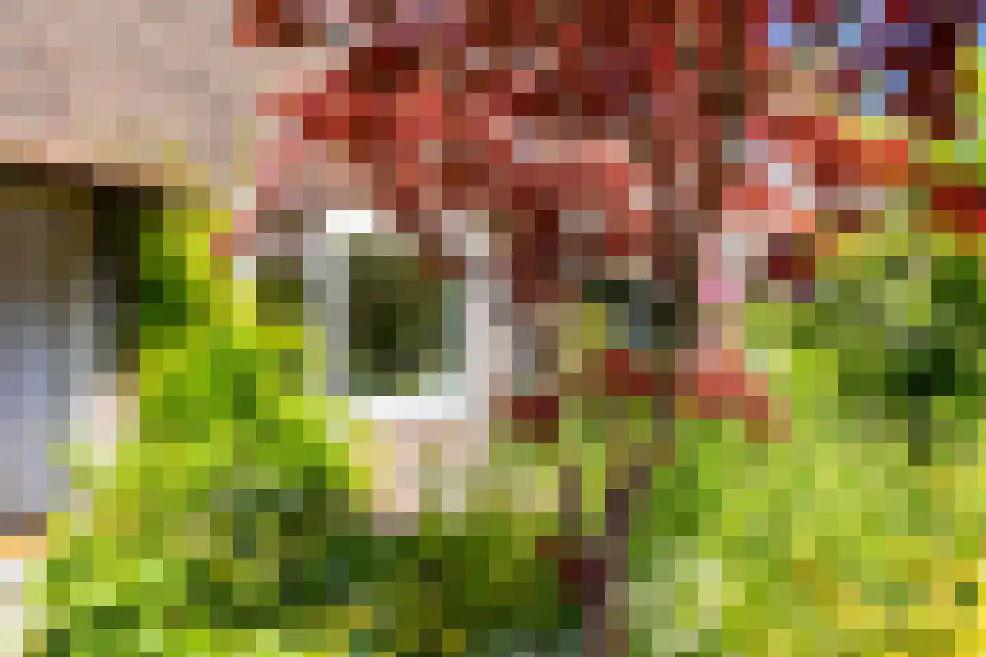 Kometensingel 371 Amsterdam thumbnail 5