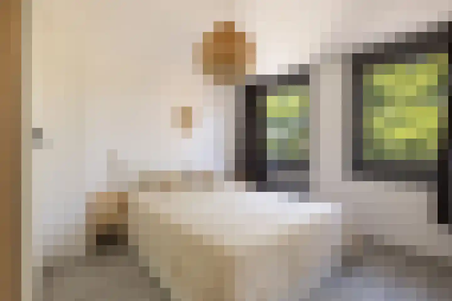 Kometensingel 489 Amsterdam thumbnail 22