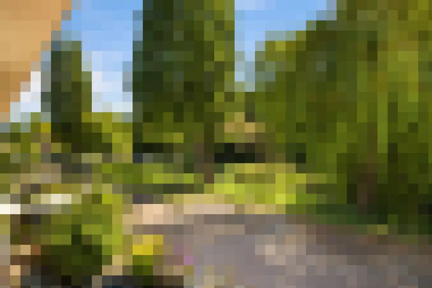 Kometensingel 489 Amsterdam thumbnail 4