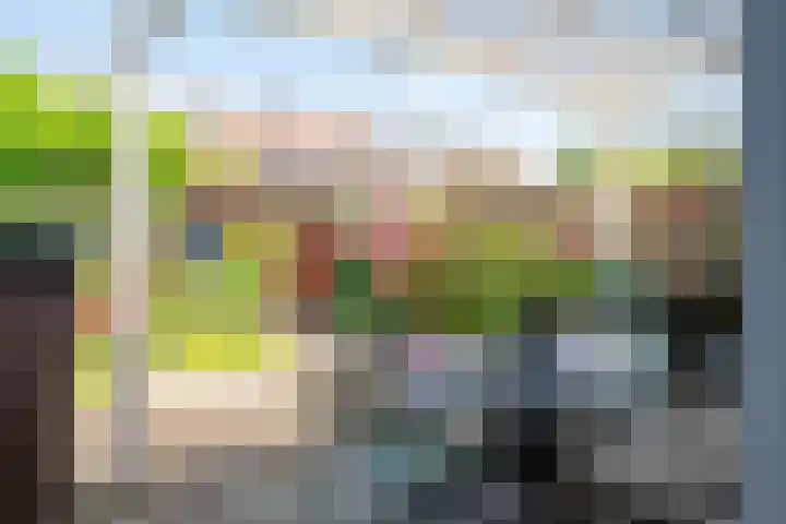 Kometensingel 531 Amsterdam thumbnail 16