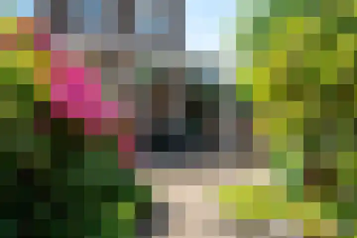 Kometensingel 531 Amsterdam thumbnail 17