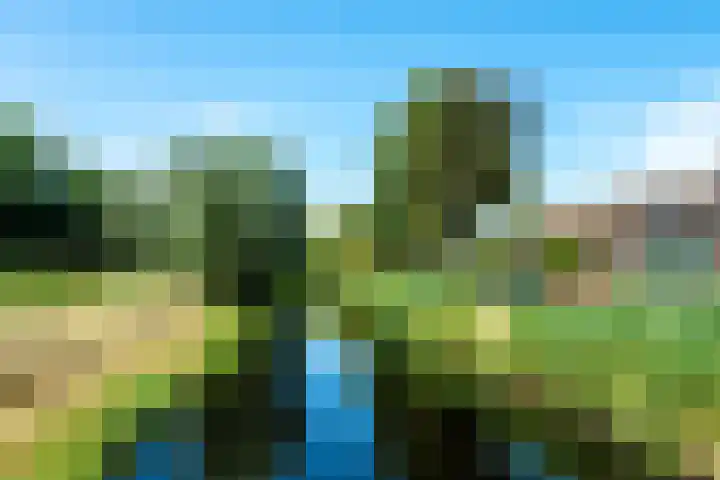 Kometensingel 531 Amsterdam thumbnail 36