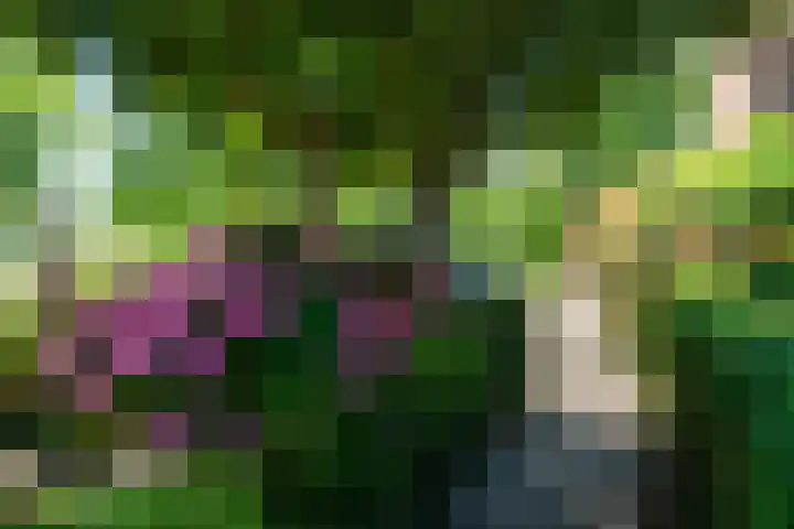 Kometensingel 531 Amsterdam thumbnail 4
