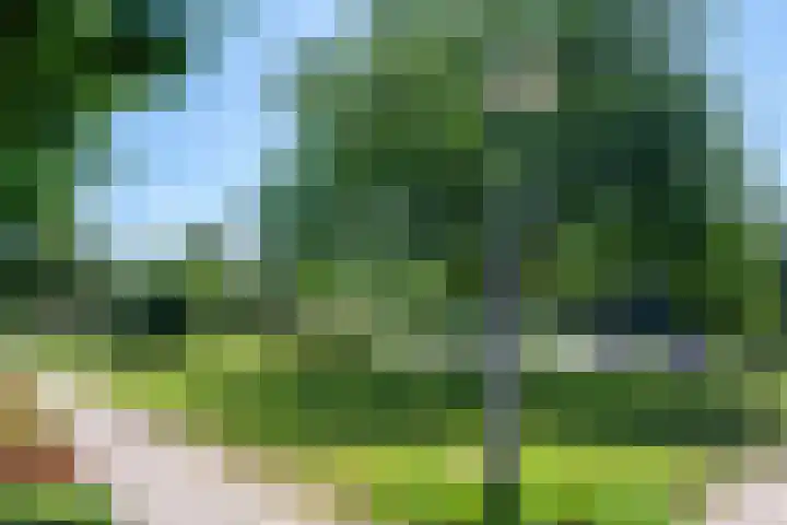 Kometensingel 531 Amsterdam thumbnail 5