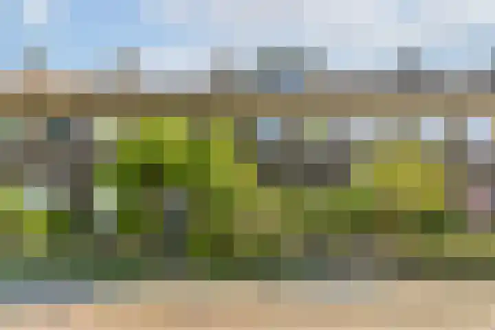 Kometensingel 593 Amsterdam