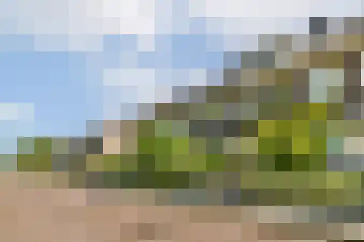 Kometensingel 593 Amsterdam thumbnail 21