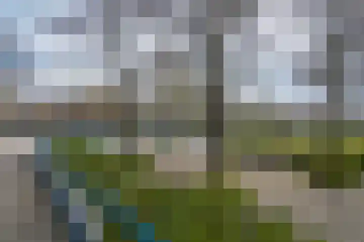 Kometensingel 593 Amsterdam thumbnail 25