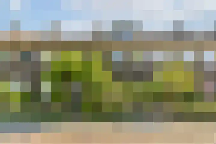 Kometensingel 593 Amsterdam thumbnail 31