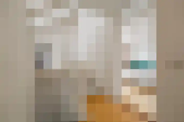 Kometensingel 593 Amsterdam thumbnail 4