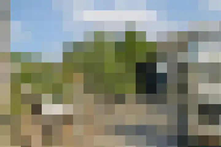 Kometensingel 593 Amsterdam thumbnail 8