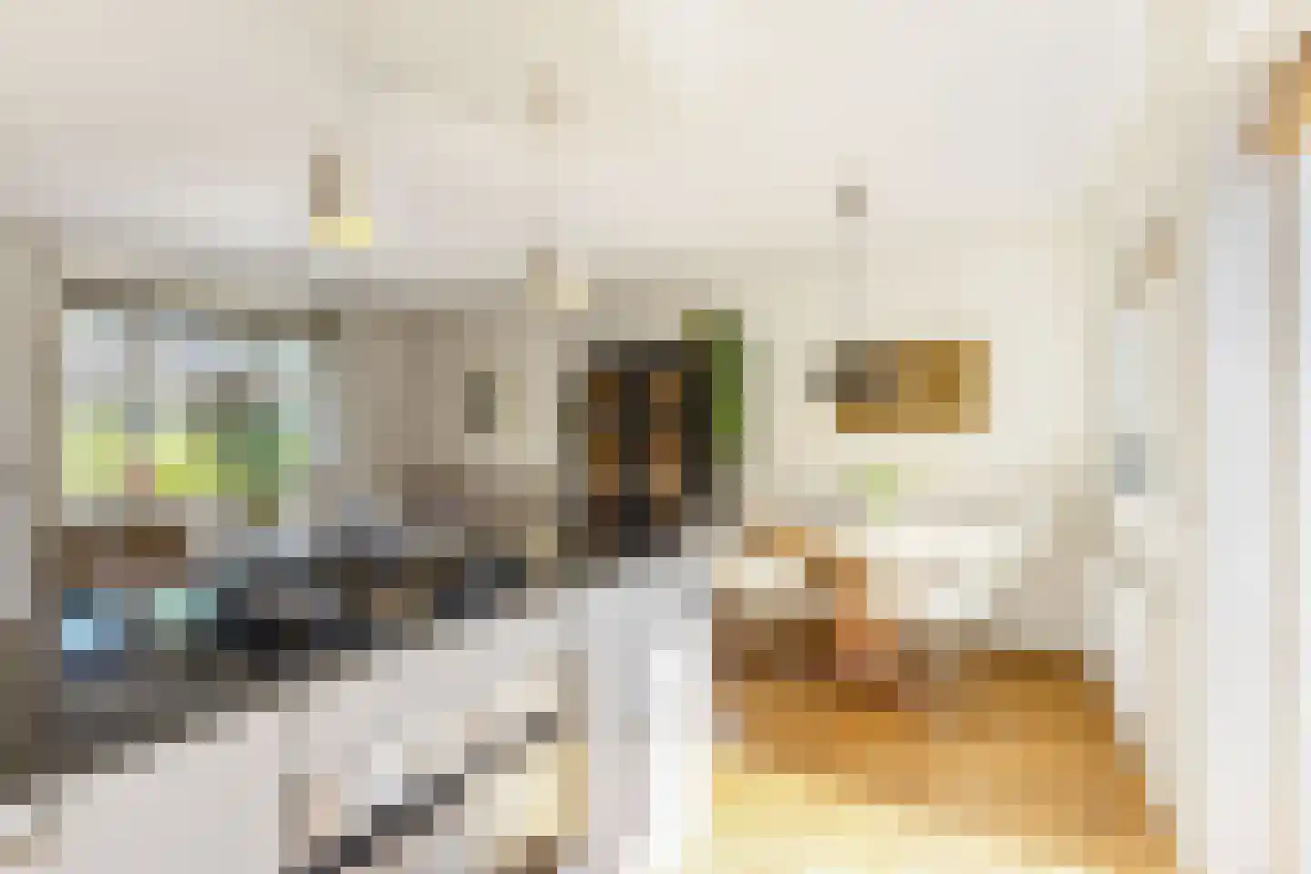 Kometensingel 69 Amsterdam thumbnail 10