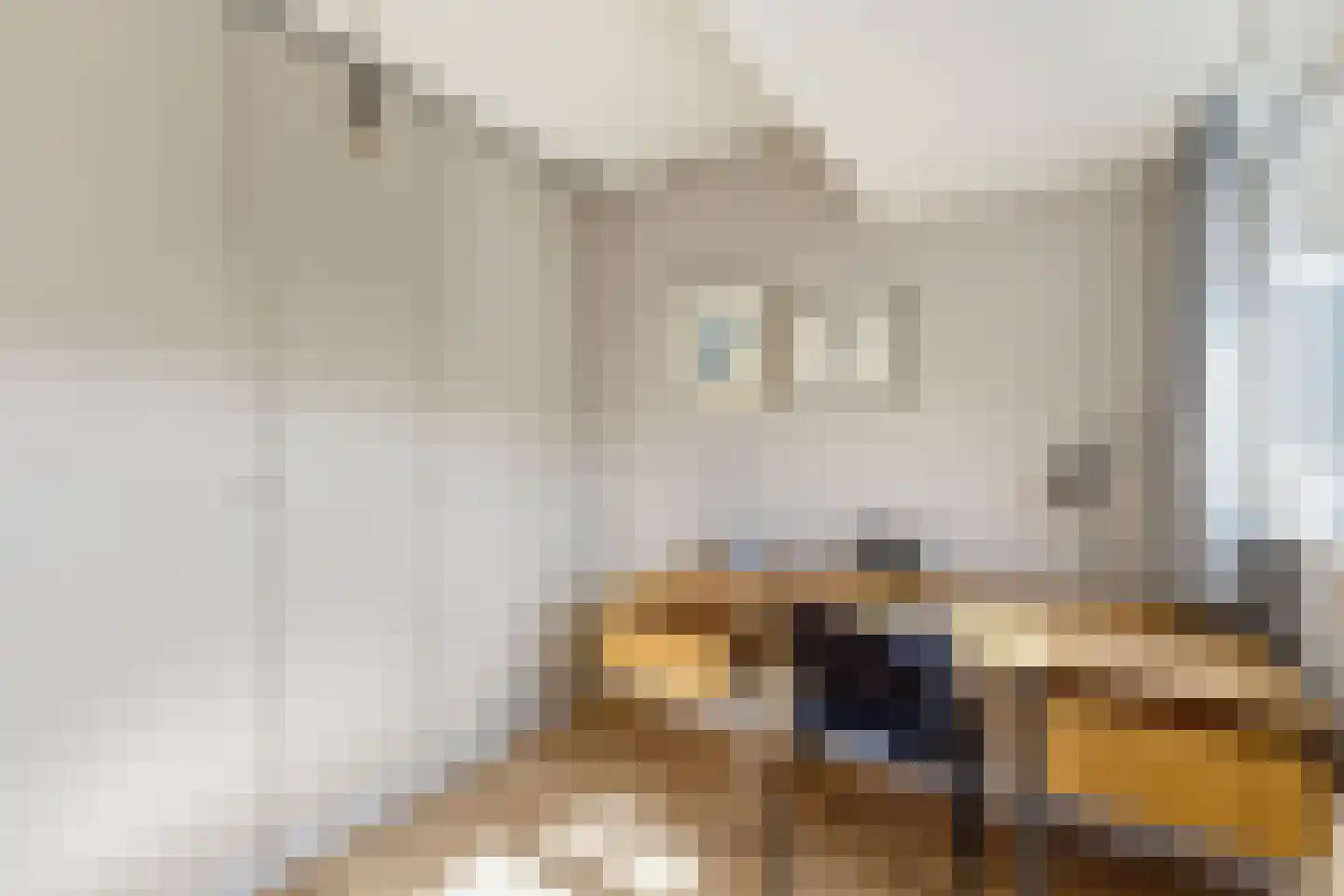 Kometensingel 69 Amsterdam thumbnail 16