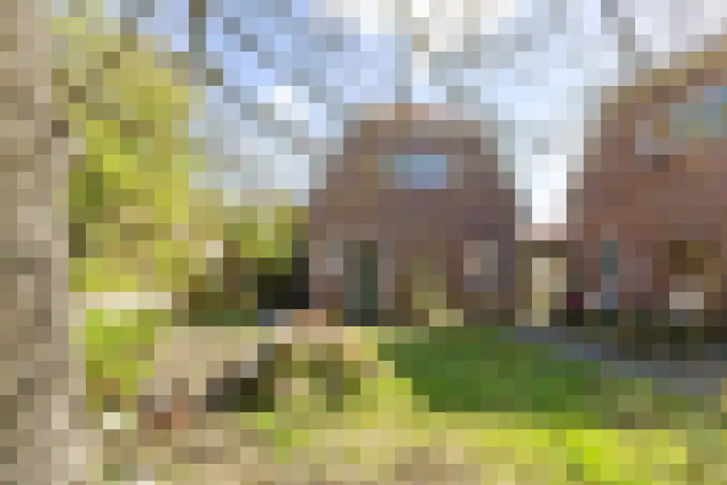 Kometensingel 69 Amsterdam thumbnail 21