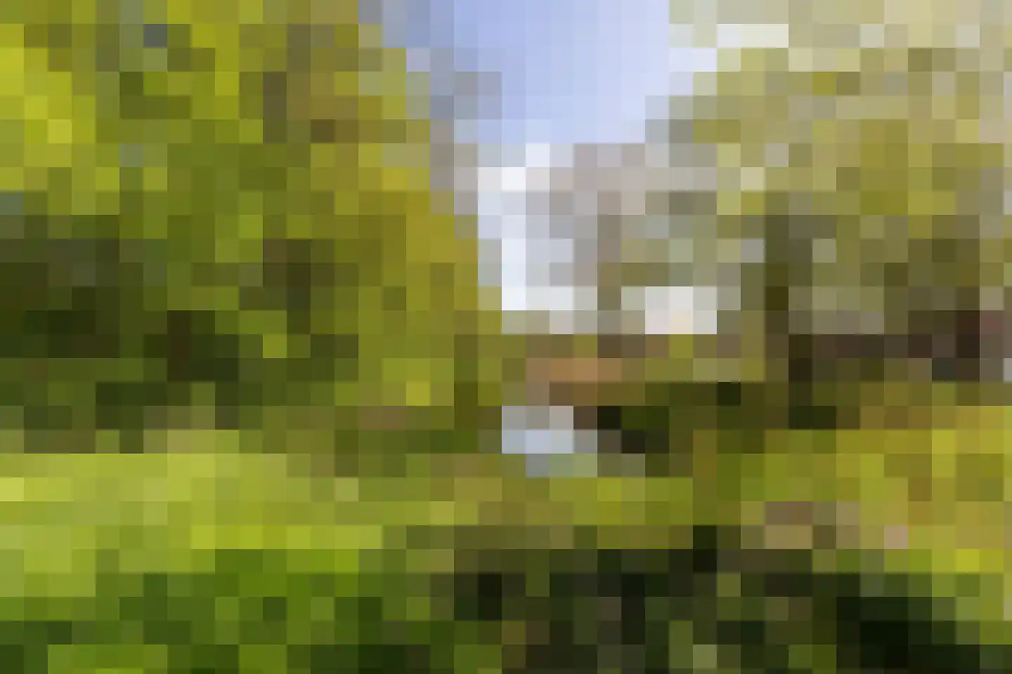 Kometensingel 69 Amsterdam thumbnail 25
