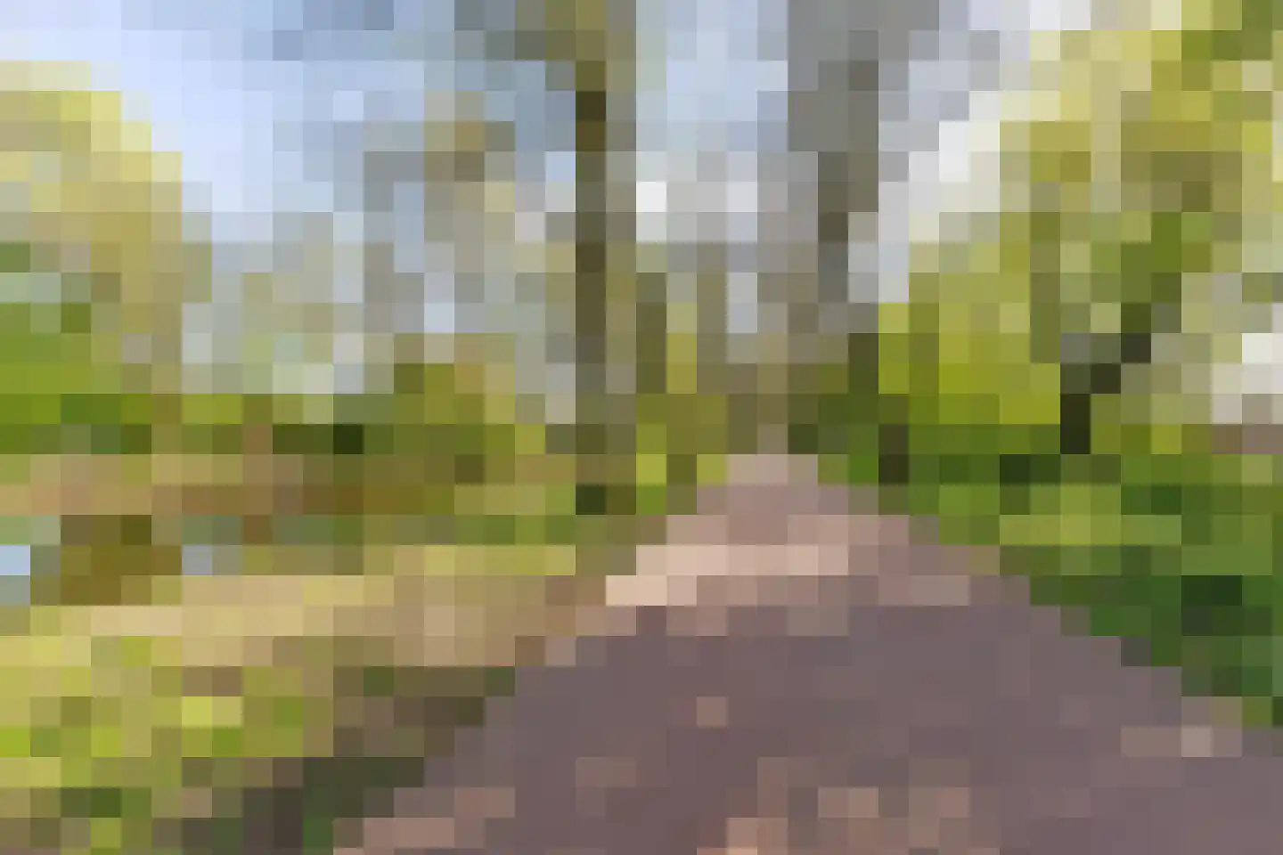 Kometensingel 69 Amsterdam thumbnail 26