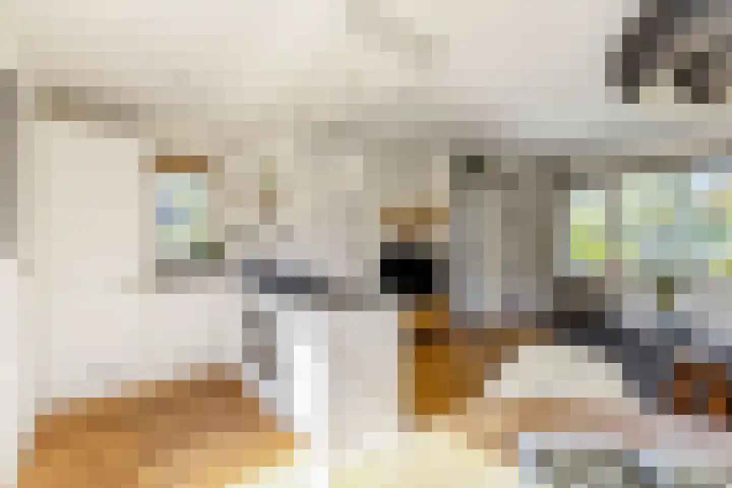 Kometensingel 69 Amsterdam thumbnail 9