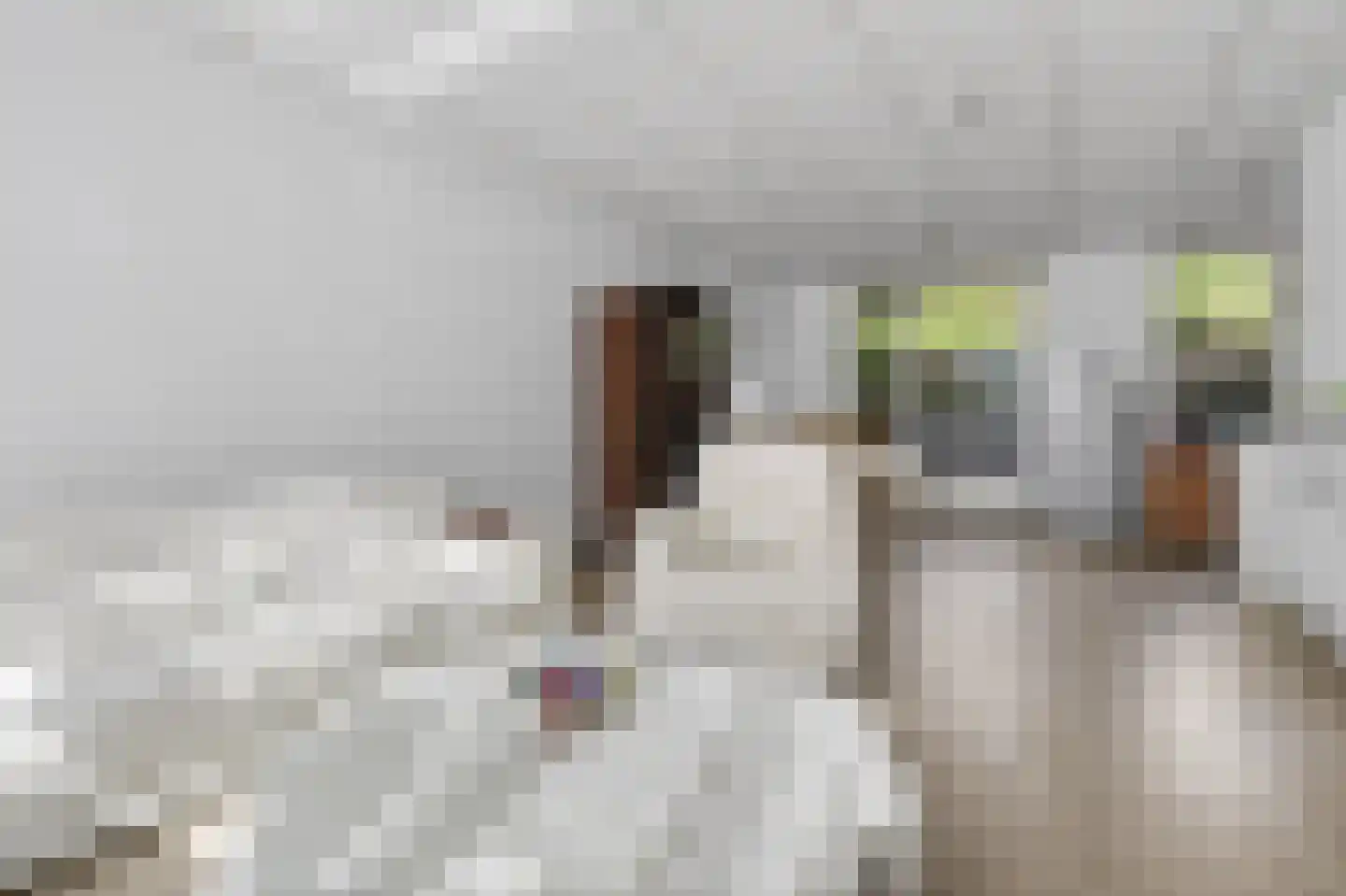 Kometensingel 74 Amsterdam thumbnail 14