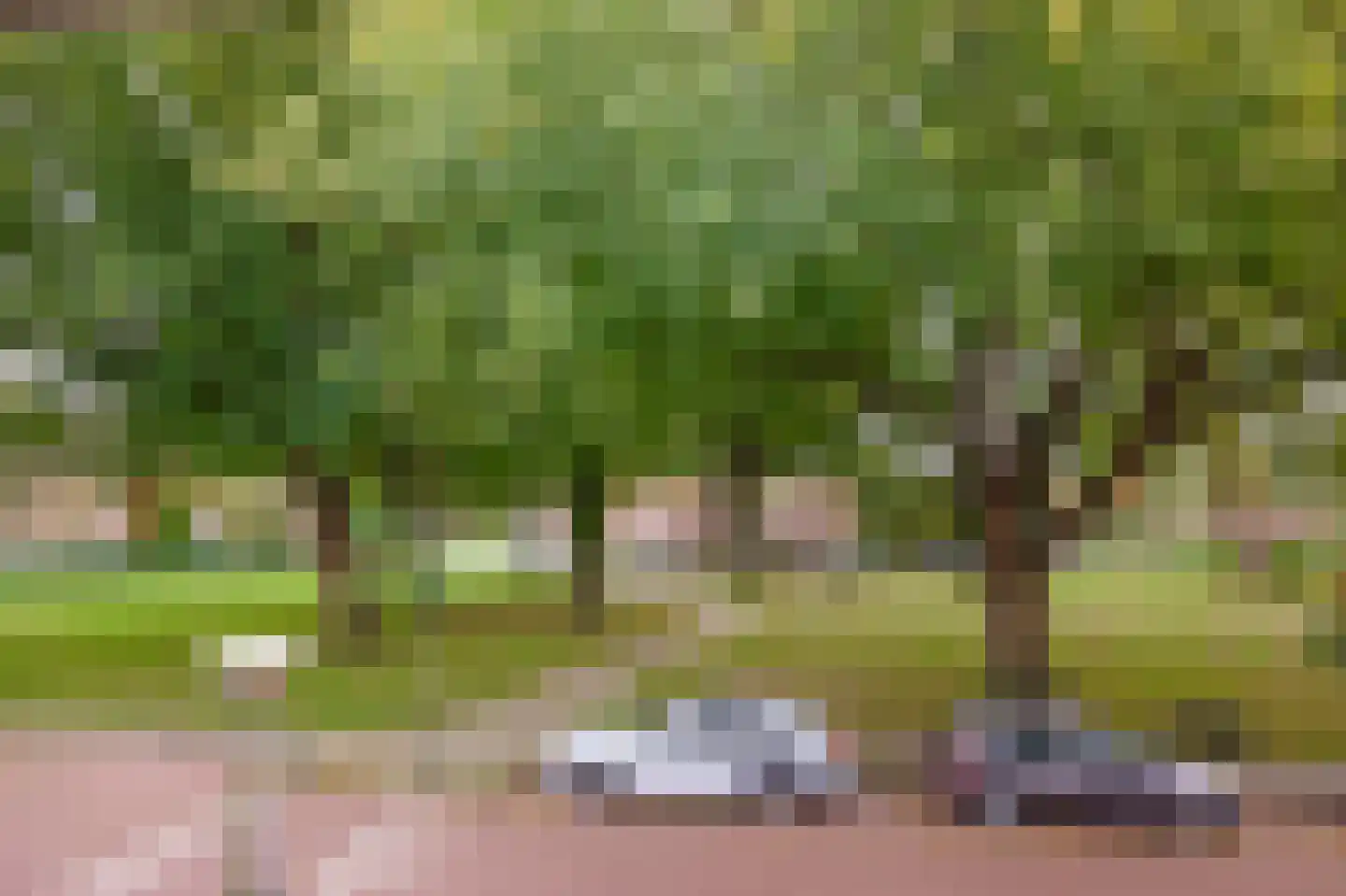 Kometensingel 84 1 Amsterdam thumbnail 17