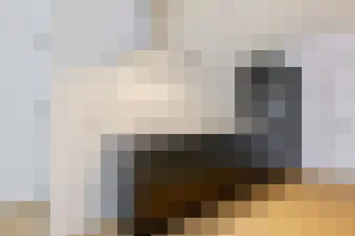 Kometensingel 84 1 Amsterdam thumbnail 7