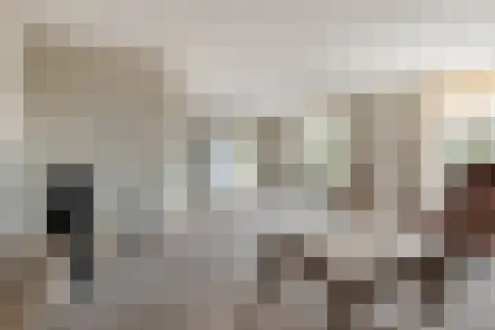 Kometenstraat 117 Spijkenisse thumbnail 15