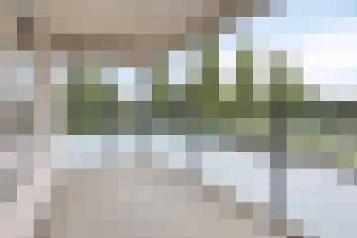 Kometenstraat 117 Spijkenisse thumbnail 21