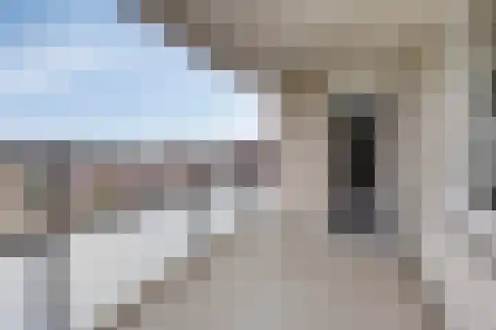 Kometenstraat 117 Spijkenisse thumbnail 22