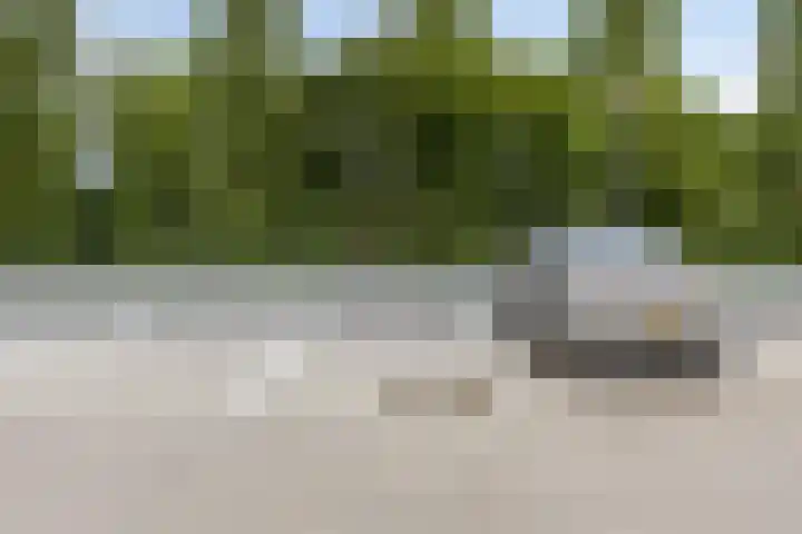 Kometenstraat 117 Spijkenisse thumbnail 32