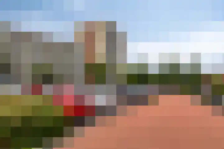 Kometenstraat 117 Spijkenisse thumbnail 5