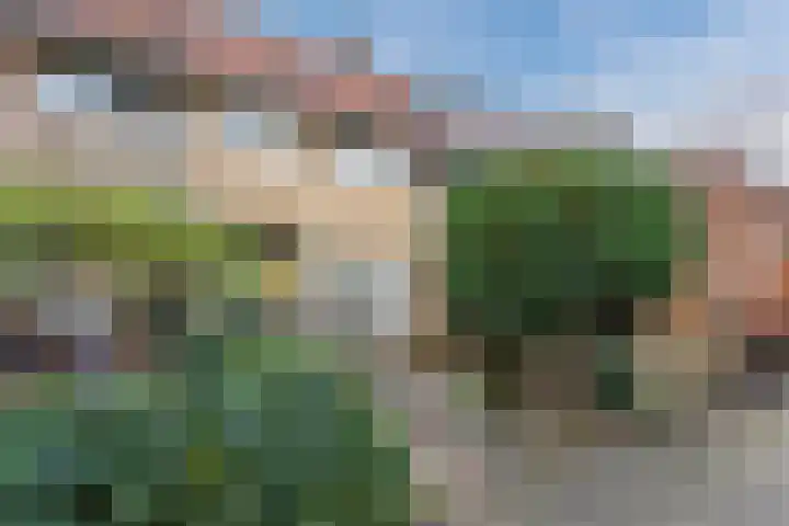 Kometenstraat 12 Hilversum thumbnail 5