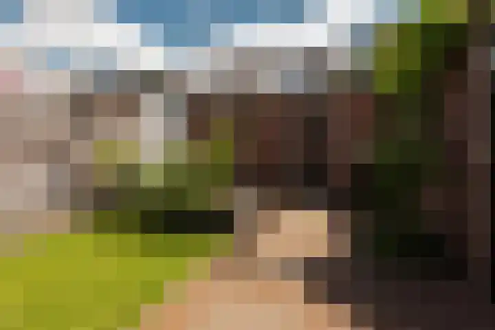 Kometenstraat 18 Hilversum thumbnail 19