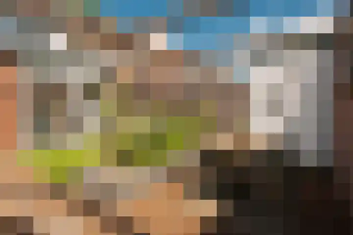 Kometenstraat 18 Hilversum thumbnail 23