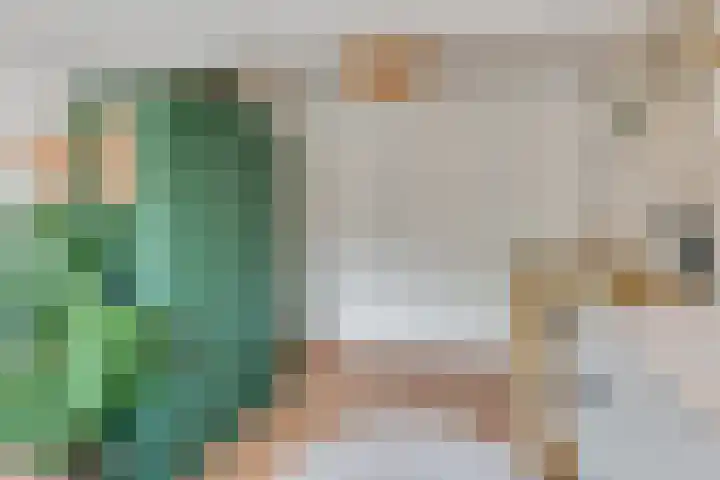 Kometenstraat 18 Hilversum thumbnail 34
