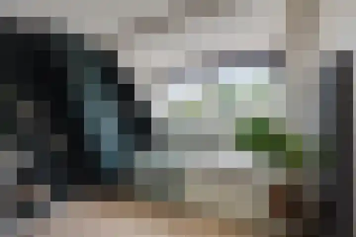 Kometenstraat 18 Hilversum thumbnail 39
